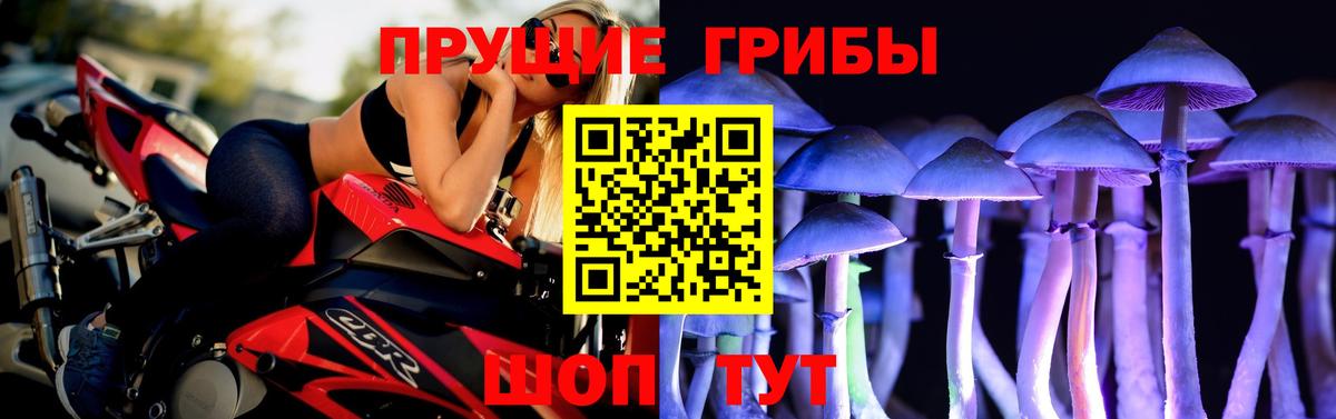 Псилоцибиновые грибы прущие грибы Горячий Ключ